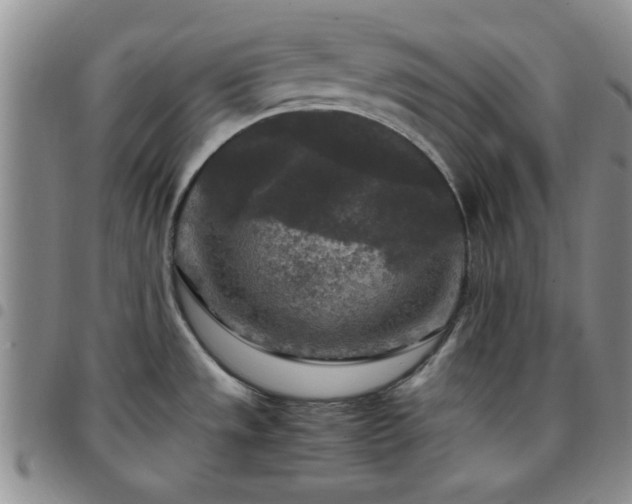 X0000097761533200803141712