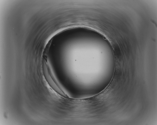 X0000097761534200803141712