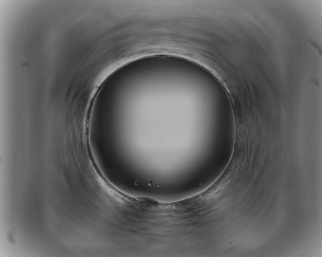 X0000097761535200803141712