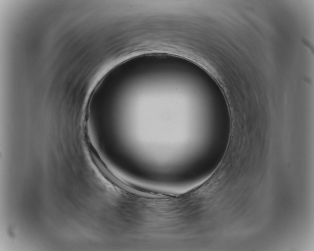 X0000097761536200803141712