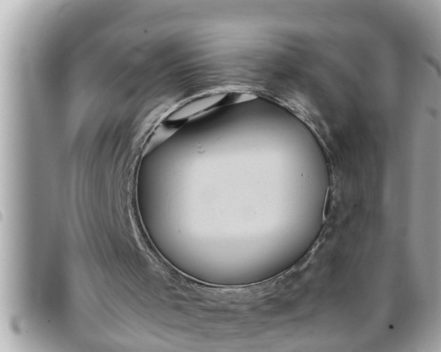 X0000097760001200803211724