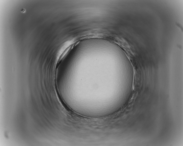 X0000097760003200803211724