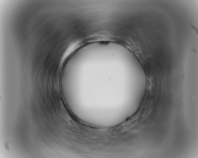 X0000097760004200803211724