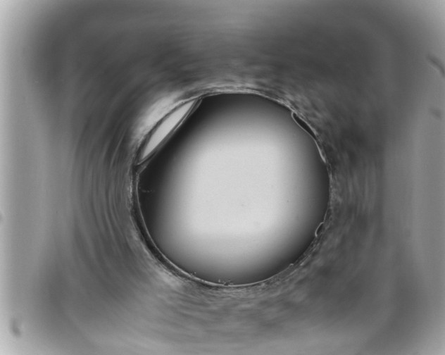 X0000097760005200803211724