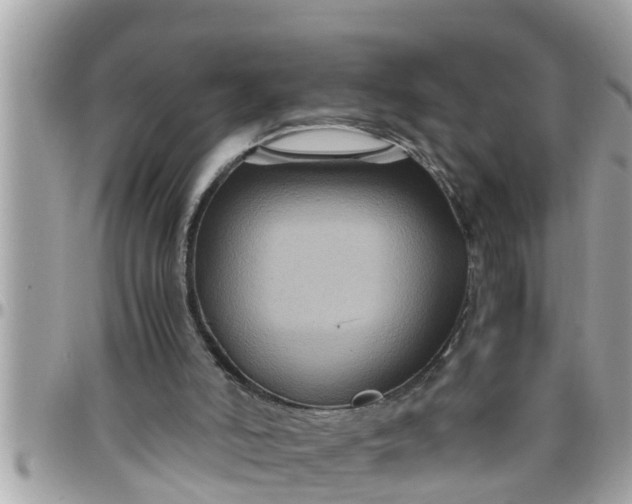 X0000097760006200803211724