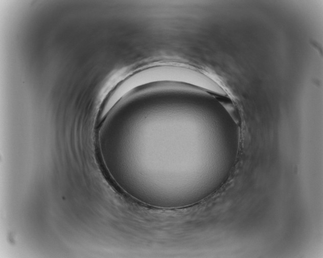 X0000097760007200803211724