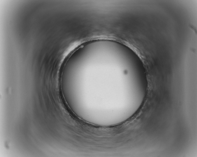 X0000097760008200803211724