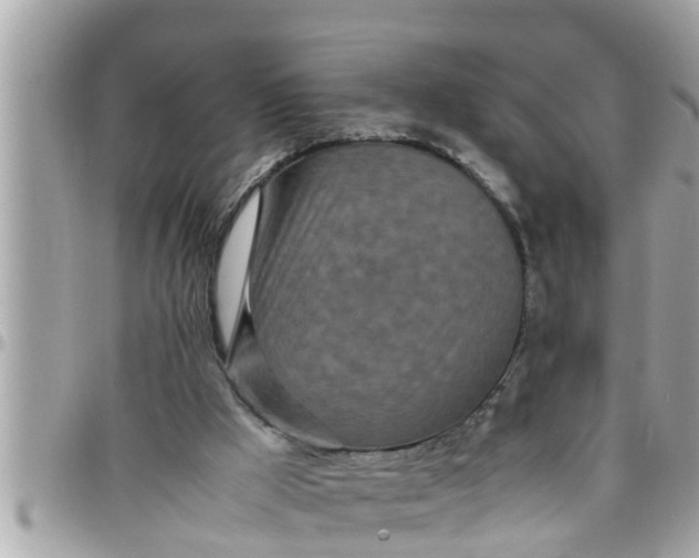 X0000097760009200803211724