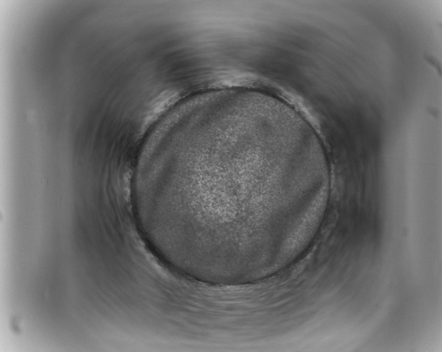 X0000097760010200803211724