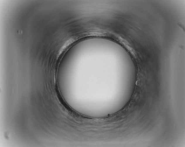 X0000097760011200803211724