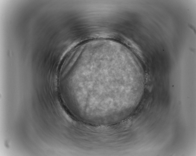 X0000097760012200803211724