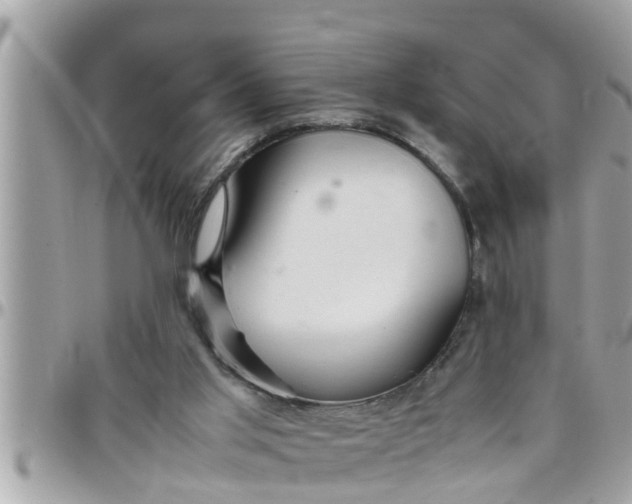 X0000097760013200803211724