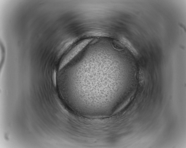 X0000097760014200803211724