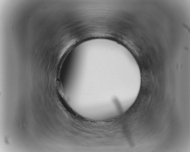 X0000097760015200803211724