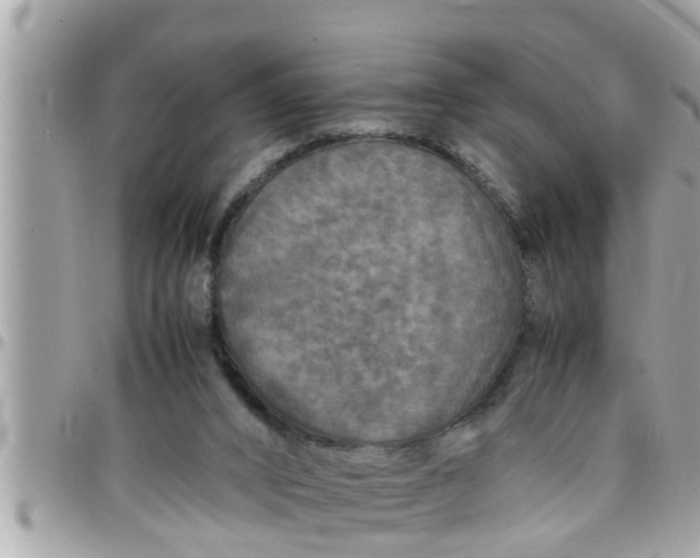 X0000097760016200803211724