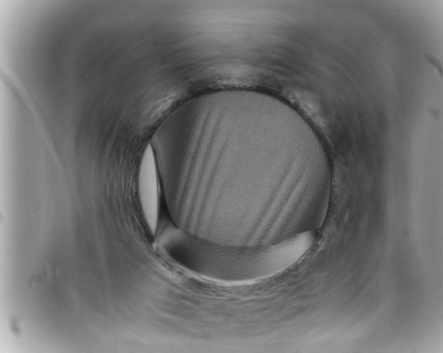 X0000097760017200803211724