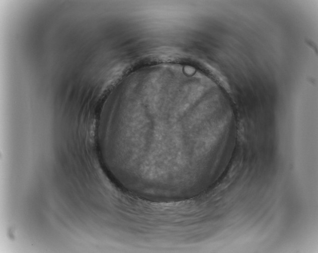 X0000097760018200803211724