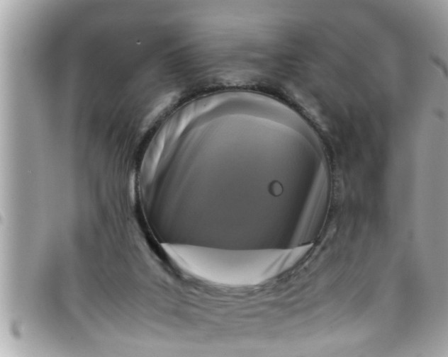 X0000097760019200803211724