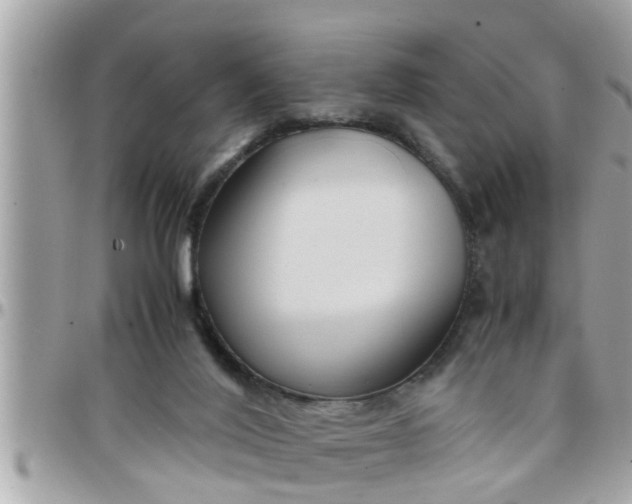 X0000097760020200803211724