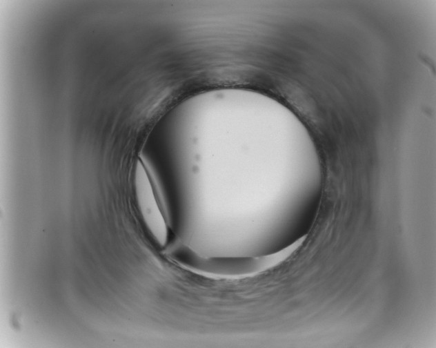 X0000097760021200803211724