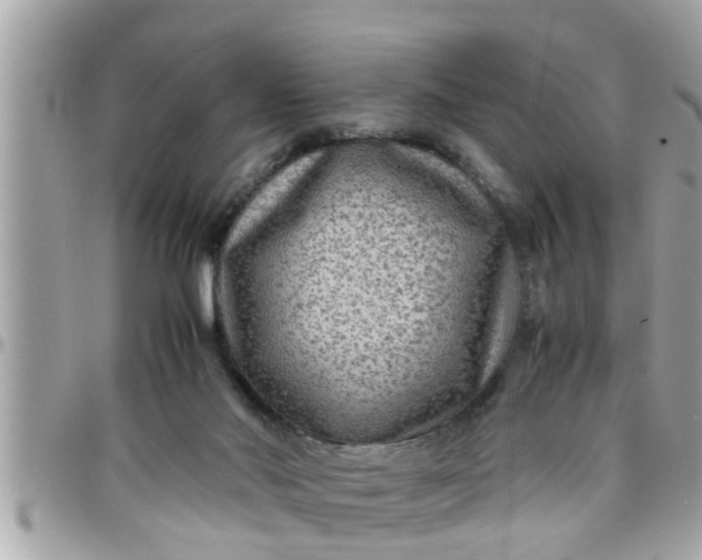 X0000097760022200803211724