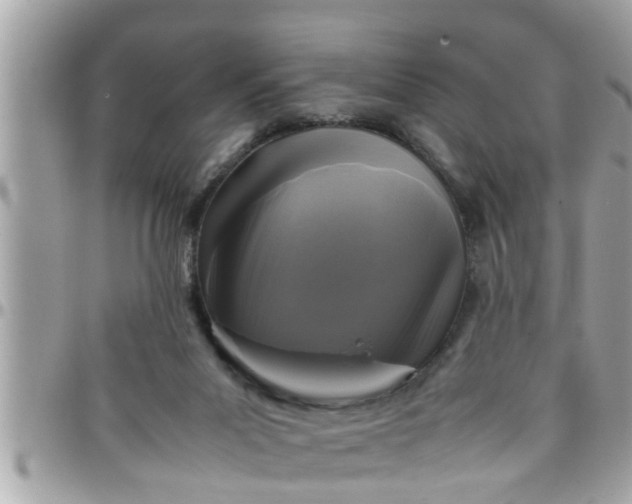 X0000097760023200803211724