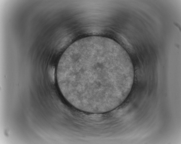 X0000097760024200803211724