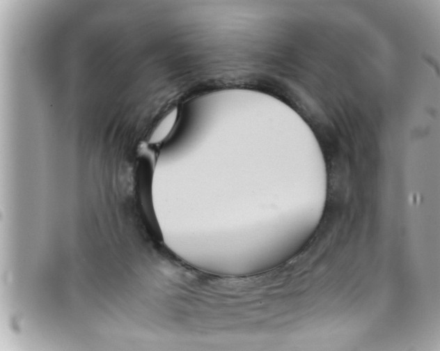 X0000097760025200803211724