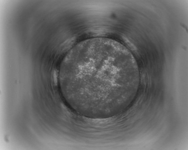 X0000097760026200803211724