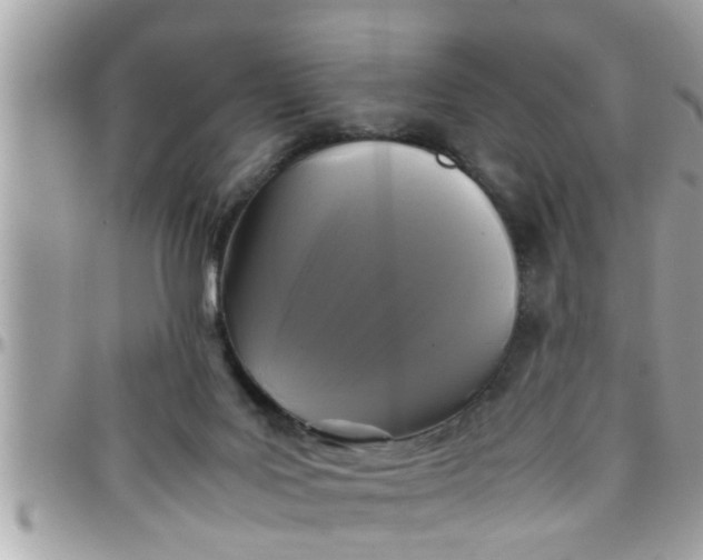 X0000097760027200803211724