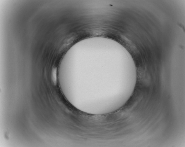 X0000097760028200803211724