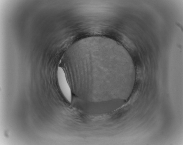 X0000097760029200803211724