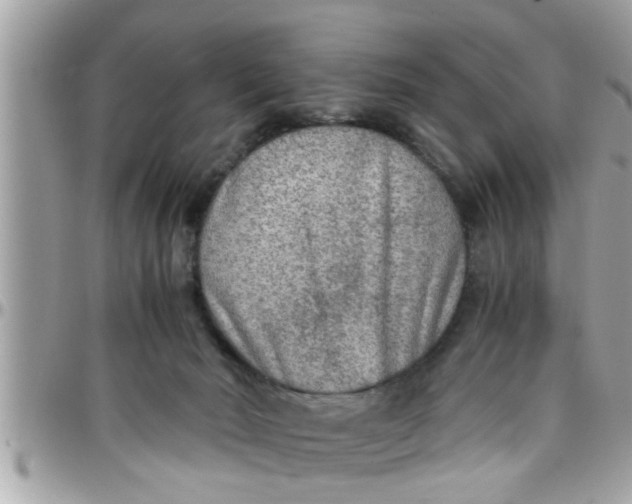 X0000097760030200803211724