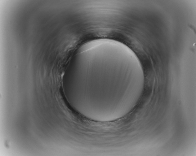 X0000097760031200803211724