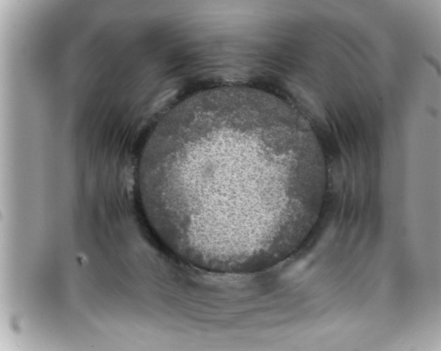 X0000097760032200803211724