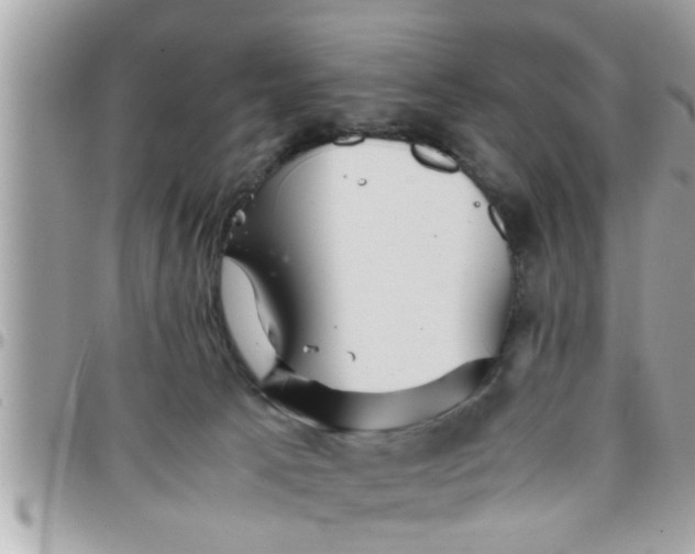 X0000097760033200803211724