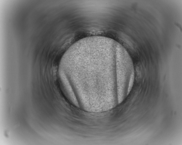 X0000097760034200803211724