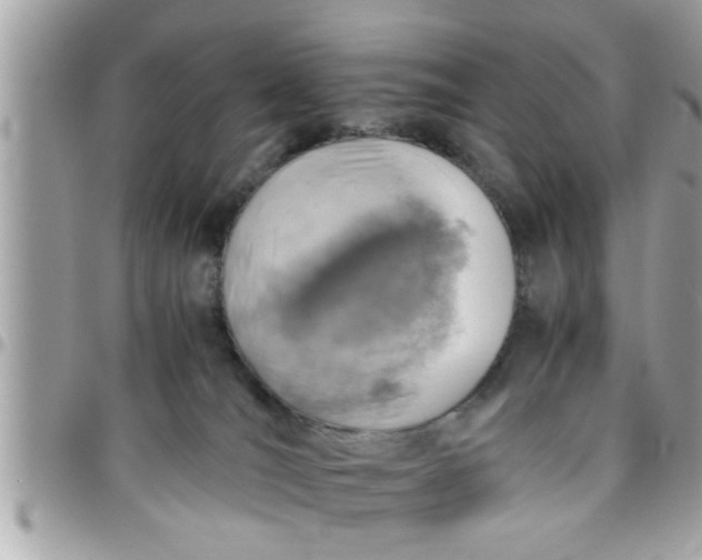 X0000097760036200803211724