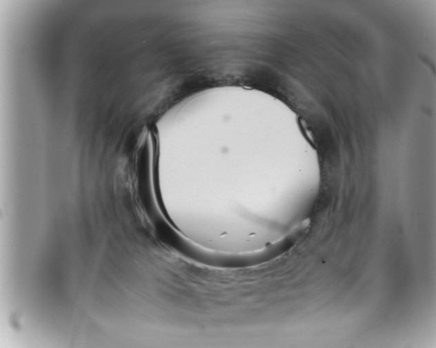 X0000097760037200803211724