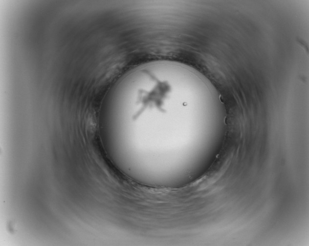 X0000097760040200803211724