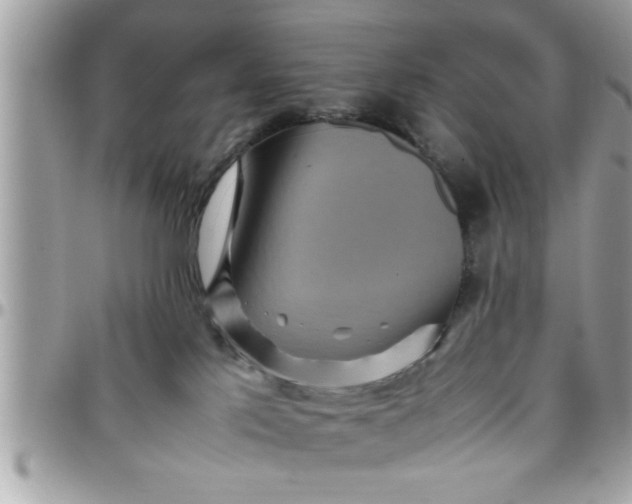 X0000097760041200803211724