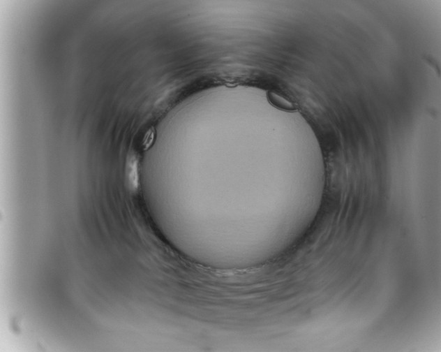 X0000097760042200803211724