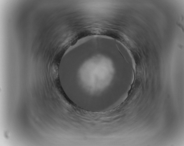 X0000097760043200803211724