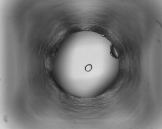 X0000097760044200803211724