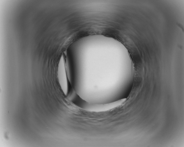 X0000097760045200803211723