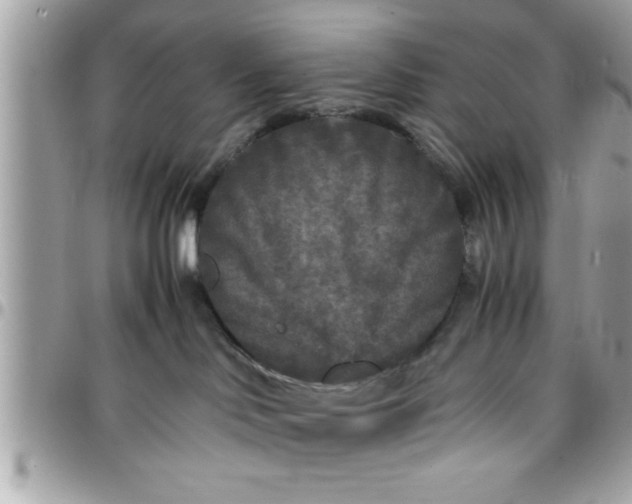 X0000097760046200803211723