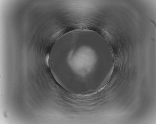 X0000097760047200803211723