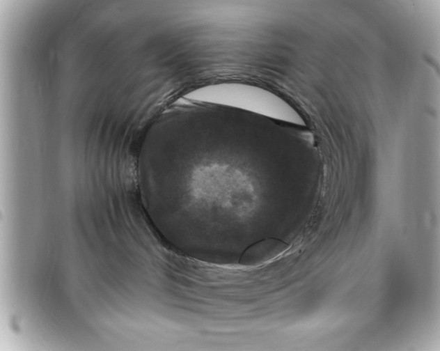 X0000097760048200803211723