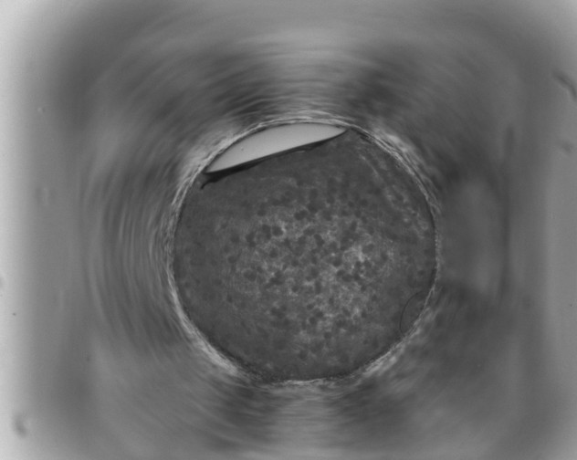 X0000097760049200803211723