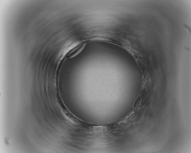 X0000097760050200803211723